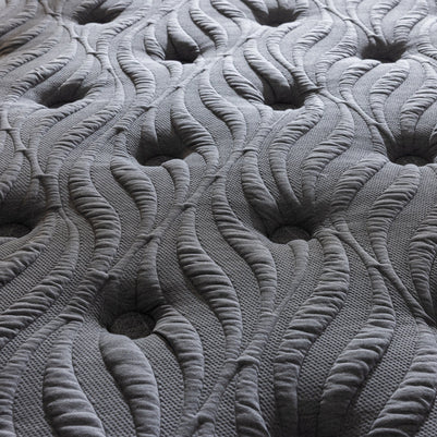 Carbon Plus