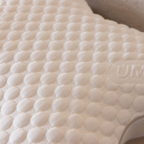 Collora Butterfly Pillow