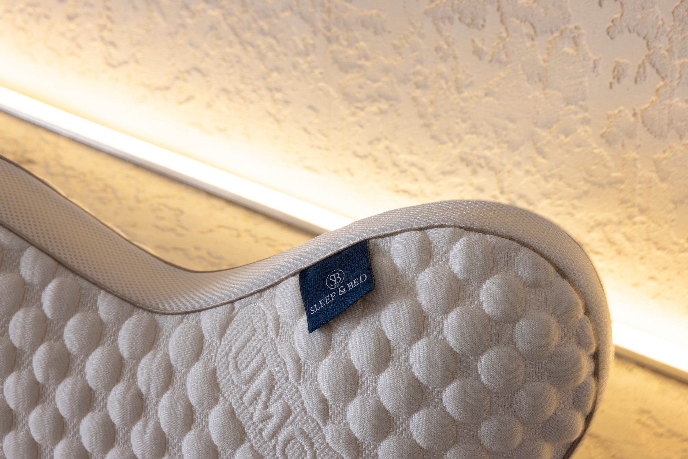 Collora Butterfly Pillow