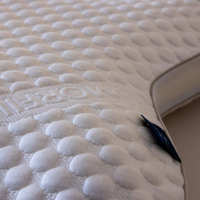 Collora Butterfly Pillow