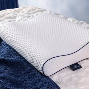 Visco Spine Pillow