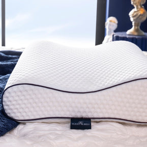 Visco Spine Pillow