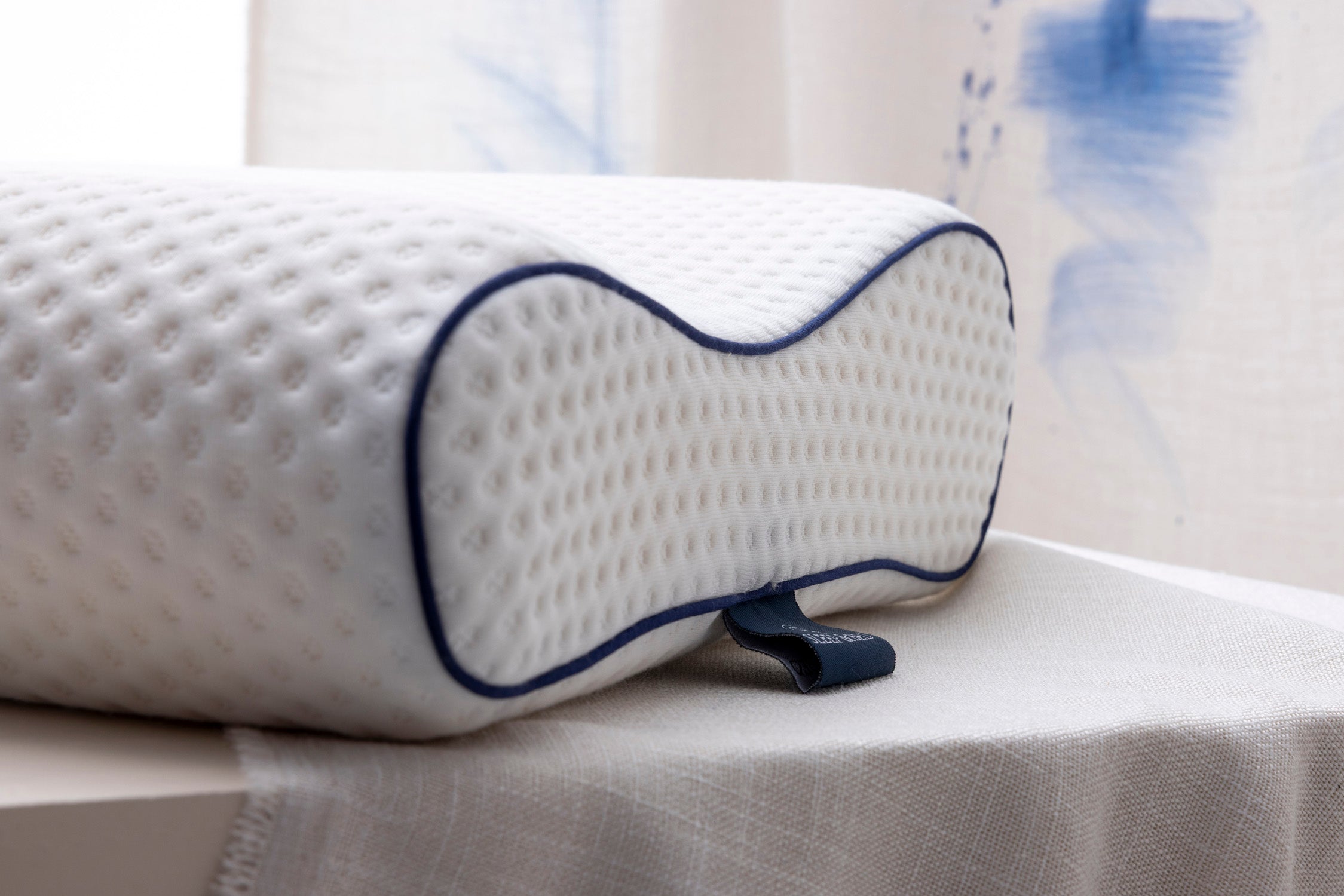 Visco Spine Dual Pillow