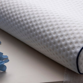 Visco Spine Dual Pillow