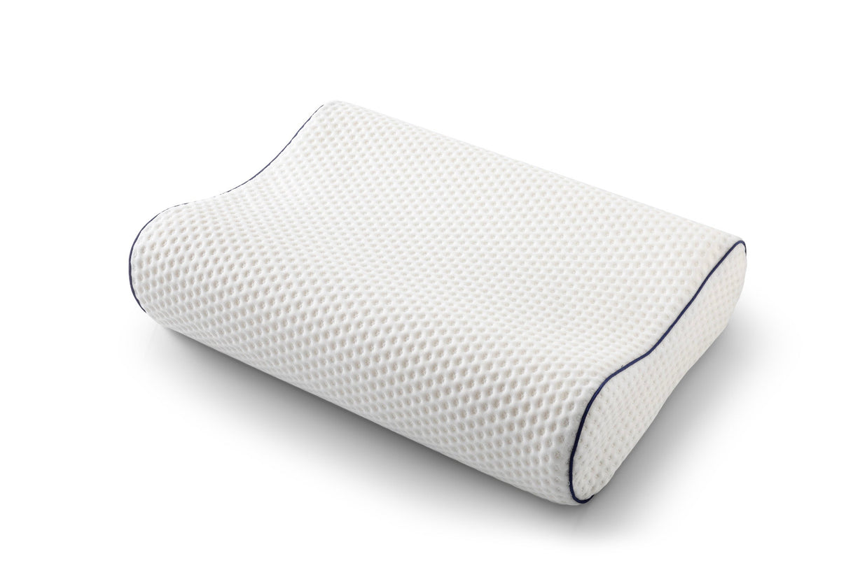 Visco Spine Dual Pillow