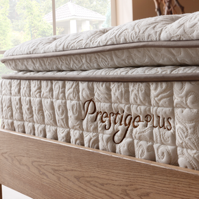 Prestige Plus