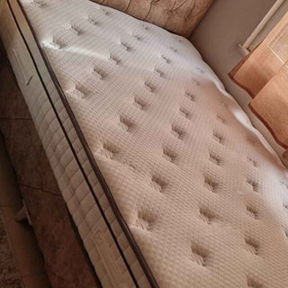 S. Ç.